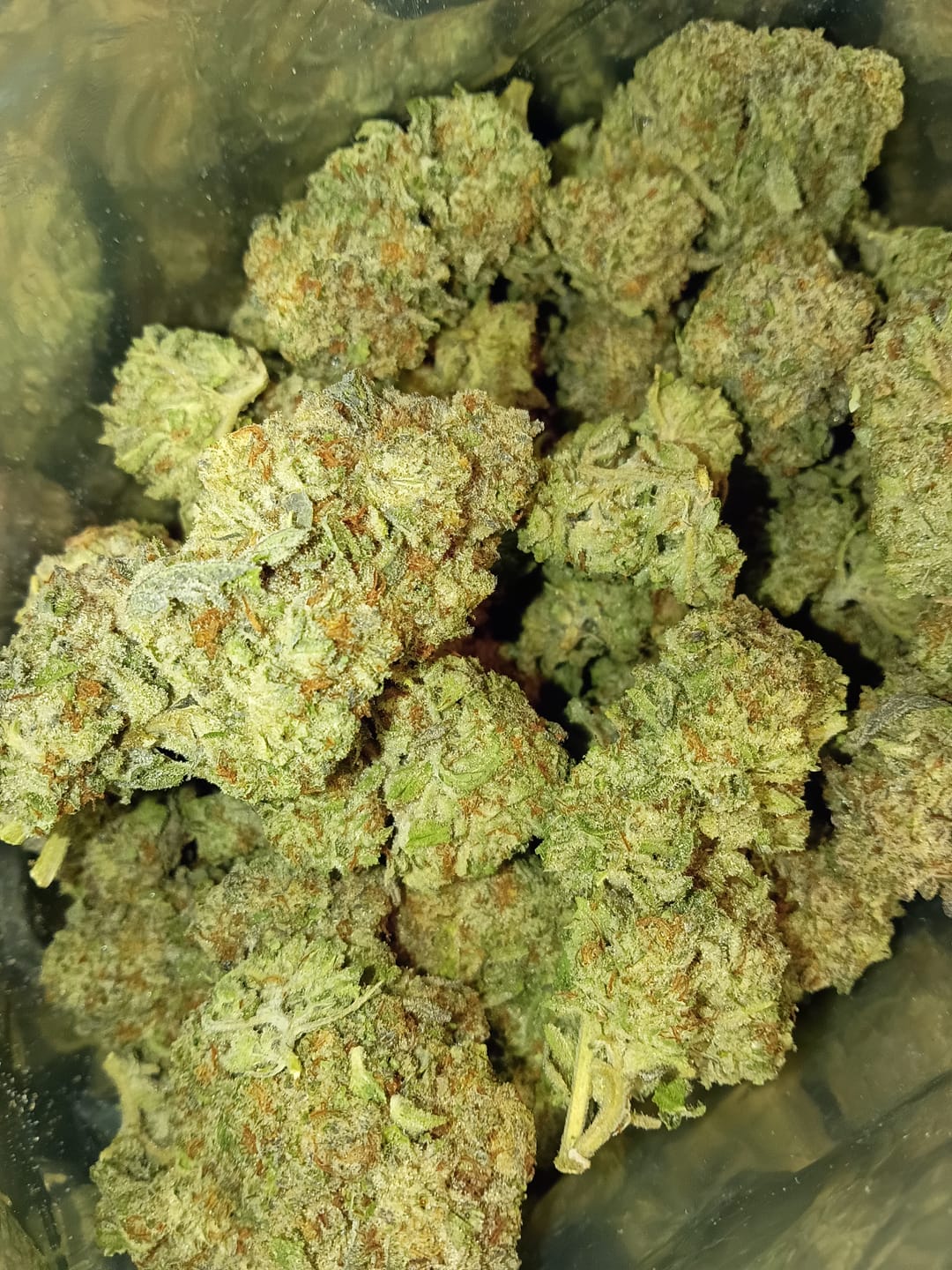 Customer photo review of Kinglato Light Assist THCA