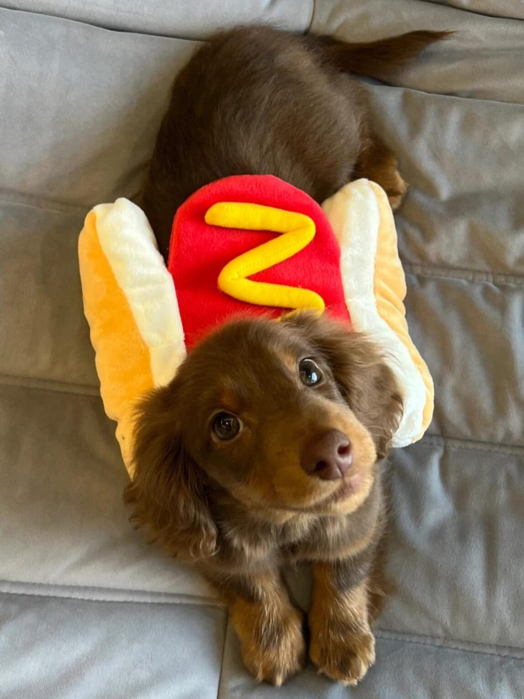 Customer photo review of Sausage Adjustable Costume Suit