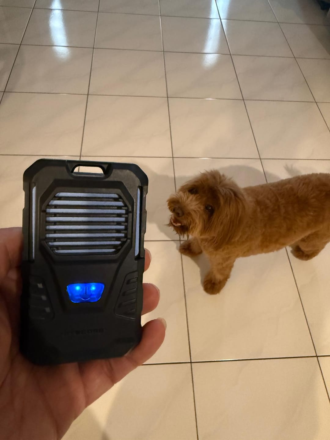 Customer photo review of EMR06 TAC Electronic Mosquito Repellent