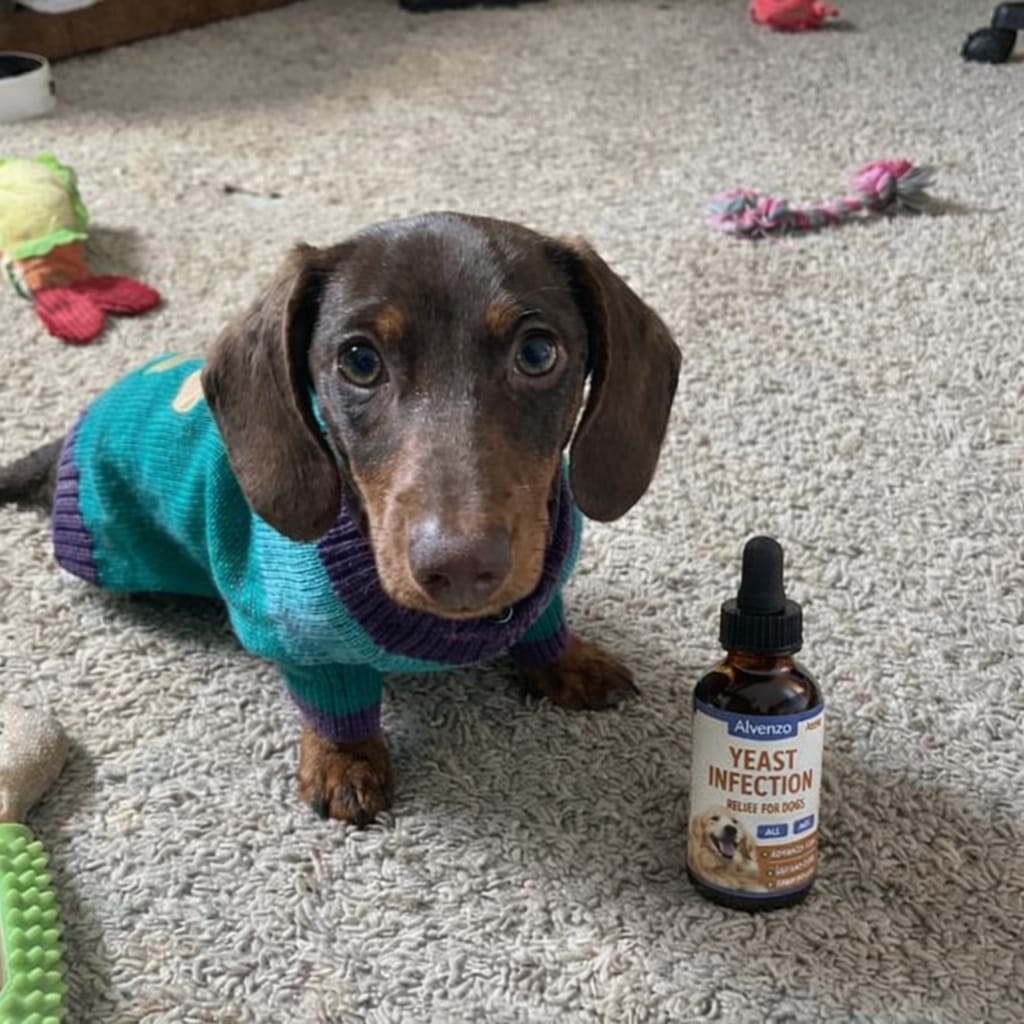 Customer photo review of Fórmula Veterinaria Natural para Eliminar Hongos en Perros.
