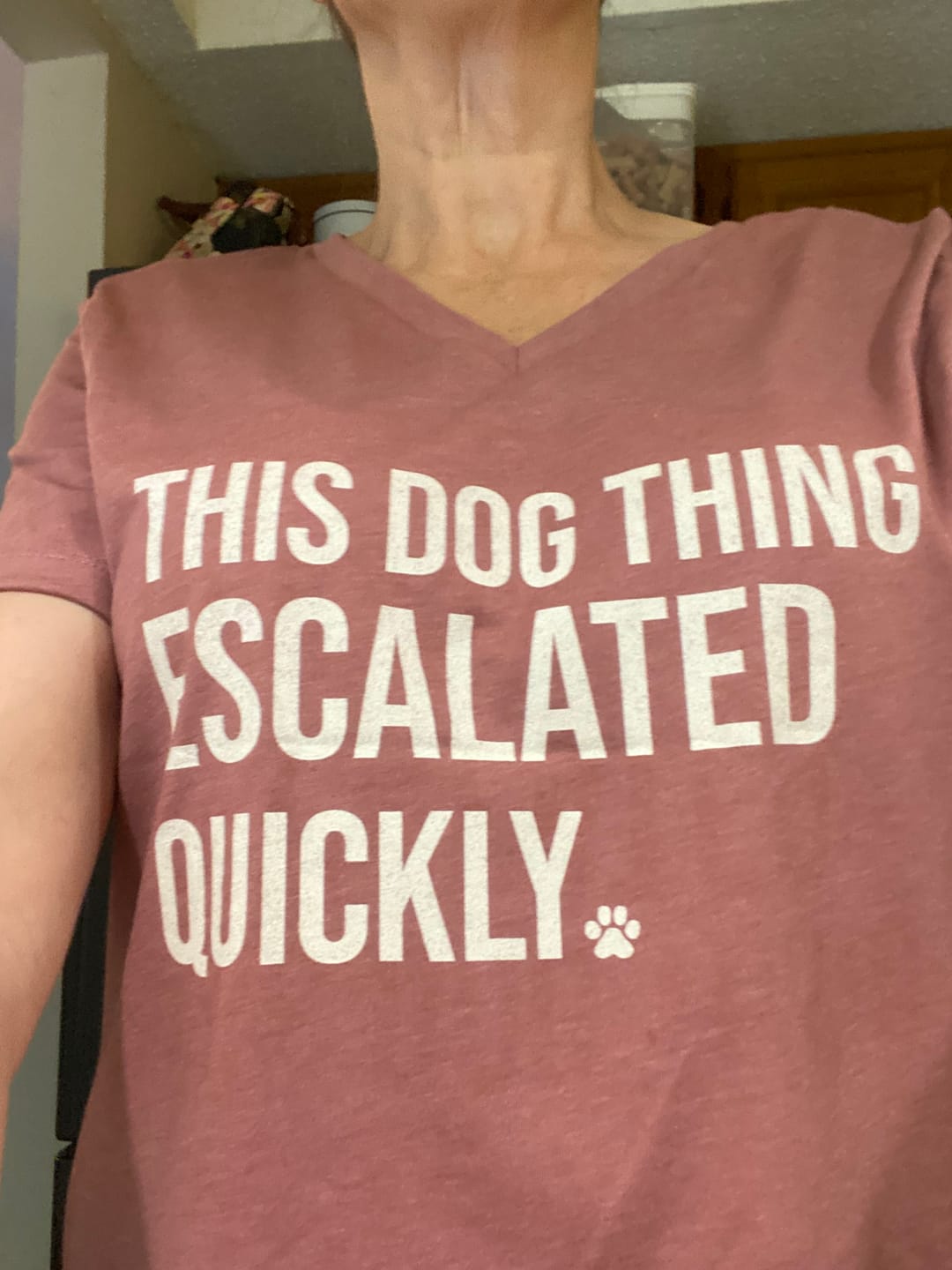 Customer photo review of This Escalated Quickly V-Neck