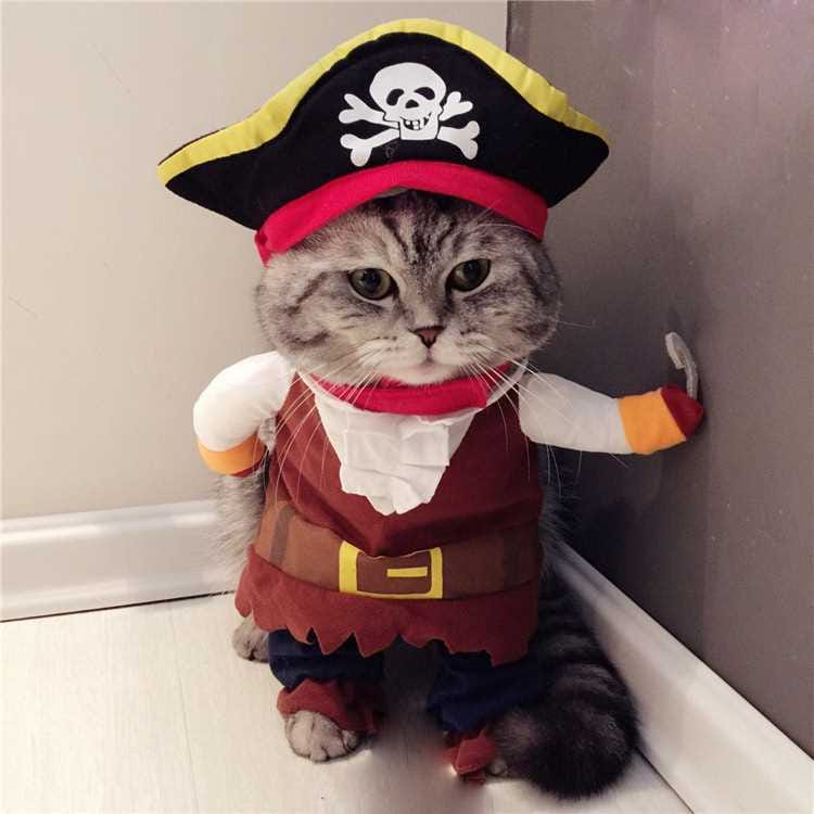 Customer photo review of Costume Pirates of The Caribbean Style