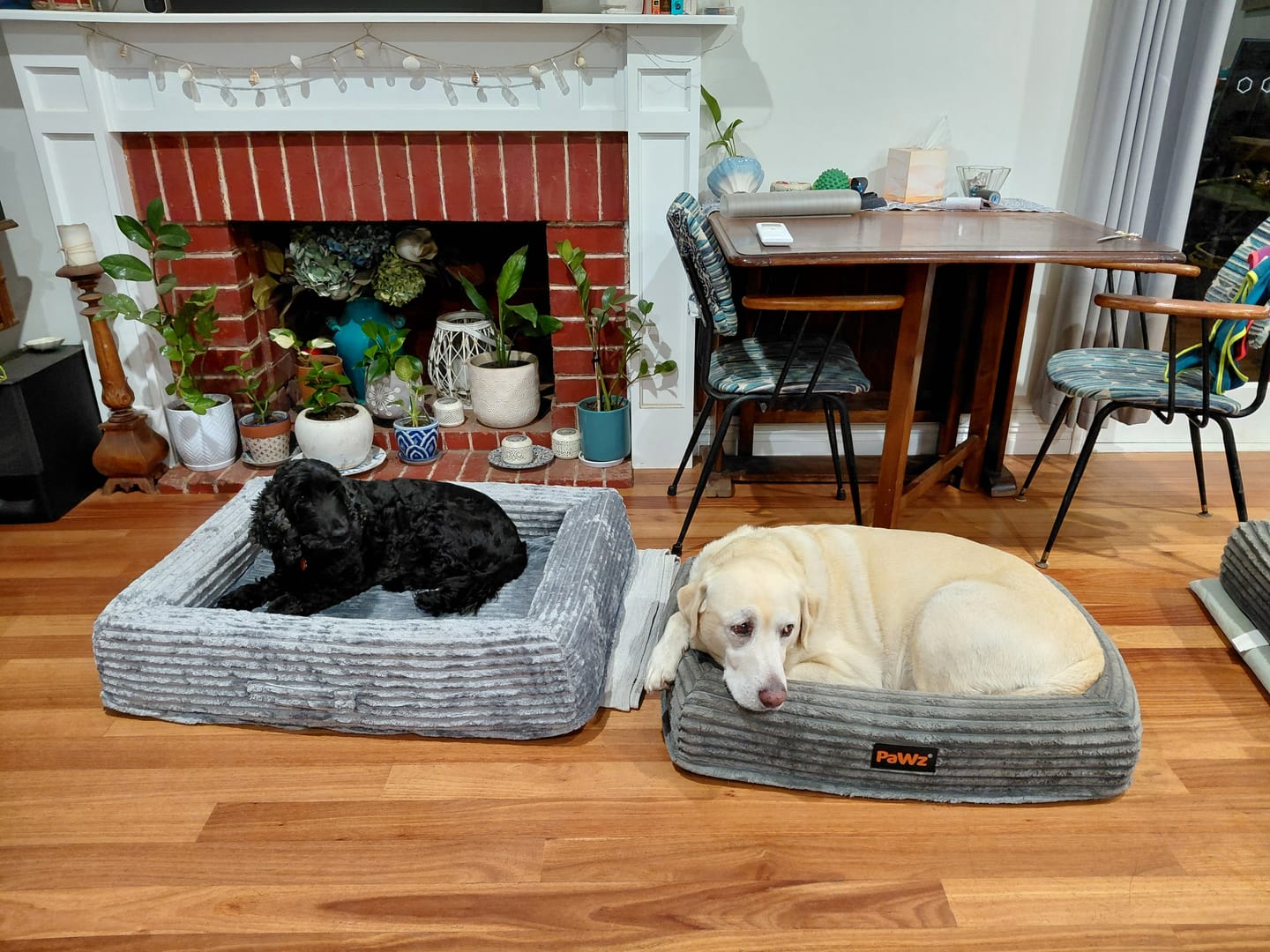 Customer photo review of Pet Calming Bed – Waterproof & Washable