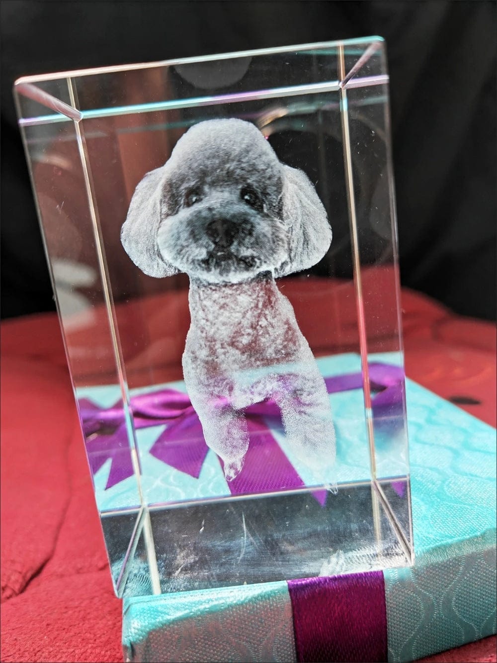 Customer photo review of 3D Pet Portrait Sculpting Crystal Night Light
