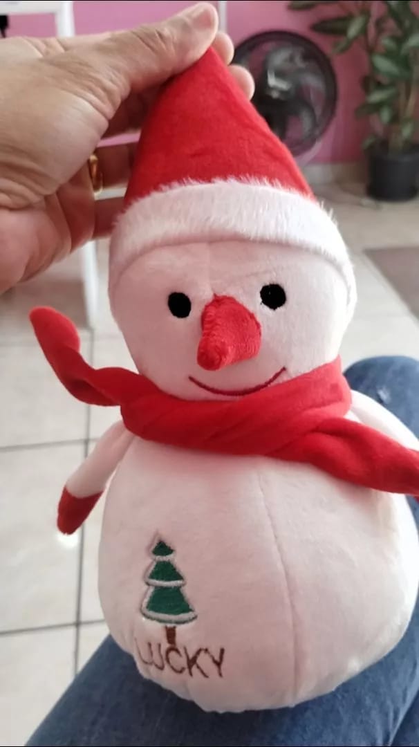 Customer photo review of Boneco de Neve de Pelúcia Decoração de Nata