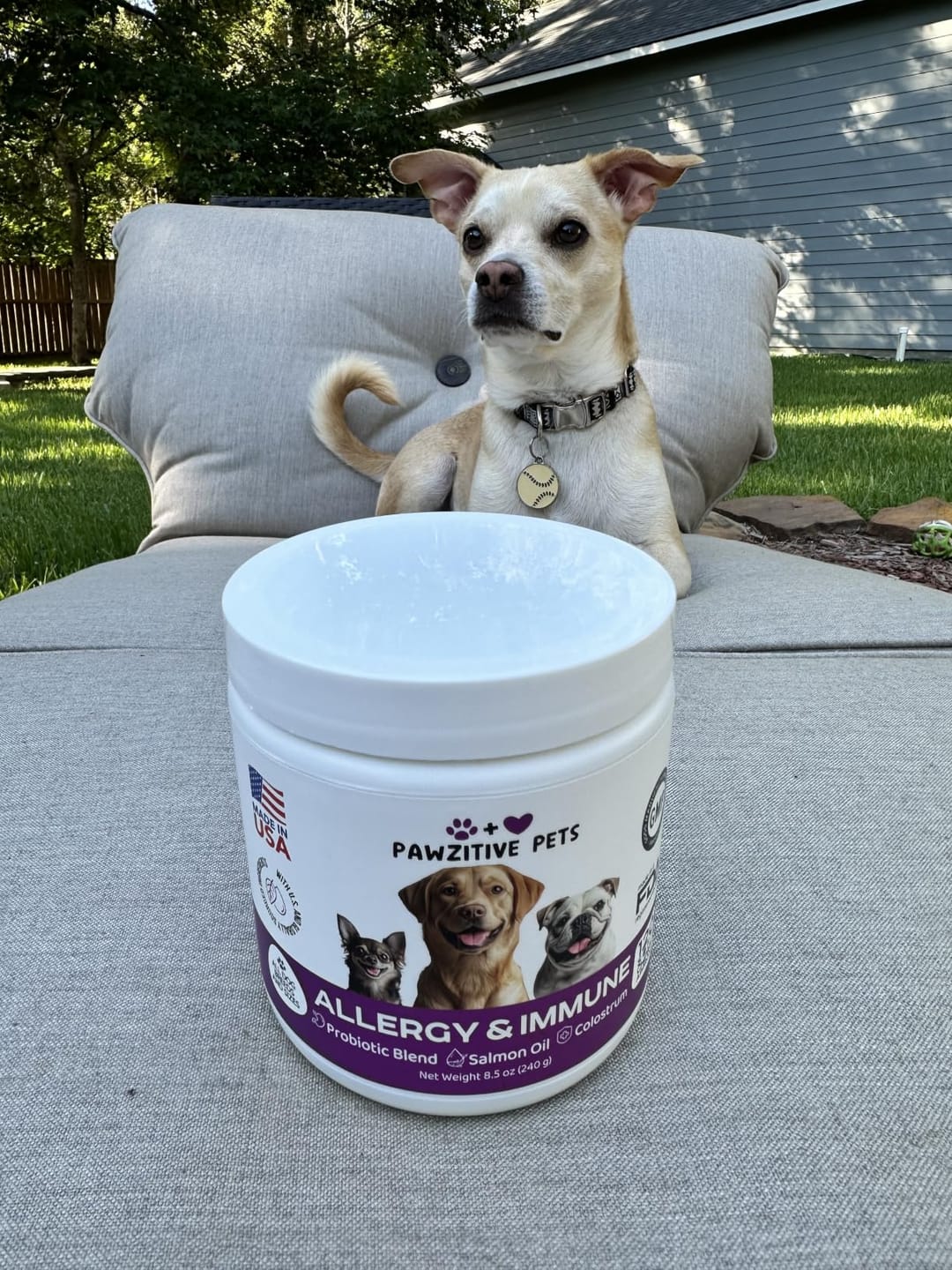 Customer photo review of Dog Allergy Chews for Itchy Skin, Paw Licking & Seasonal Allergies – Immune Support, 120 Soft Chews (Beef Flavor)