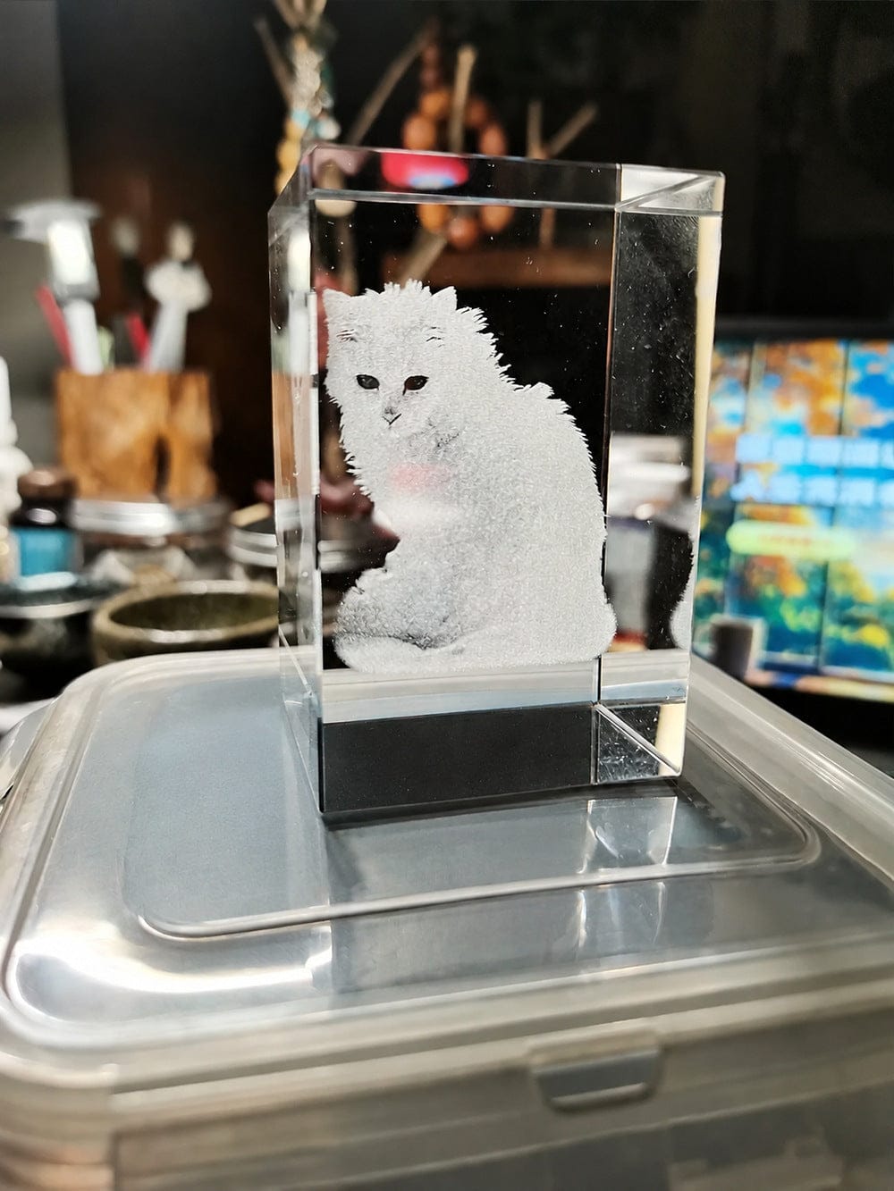Customer photo review of 3D Pet Portrait Sculpting Crystal Night Light