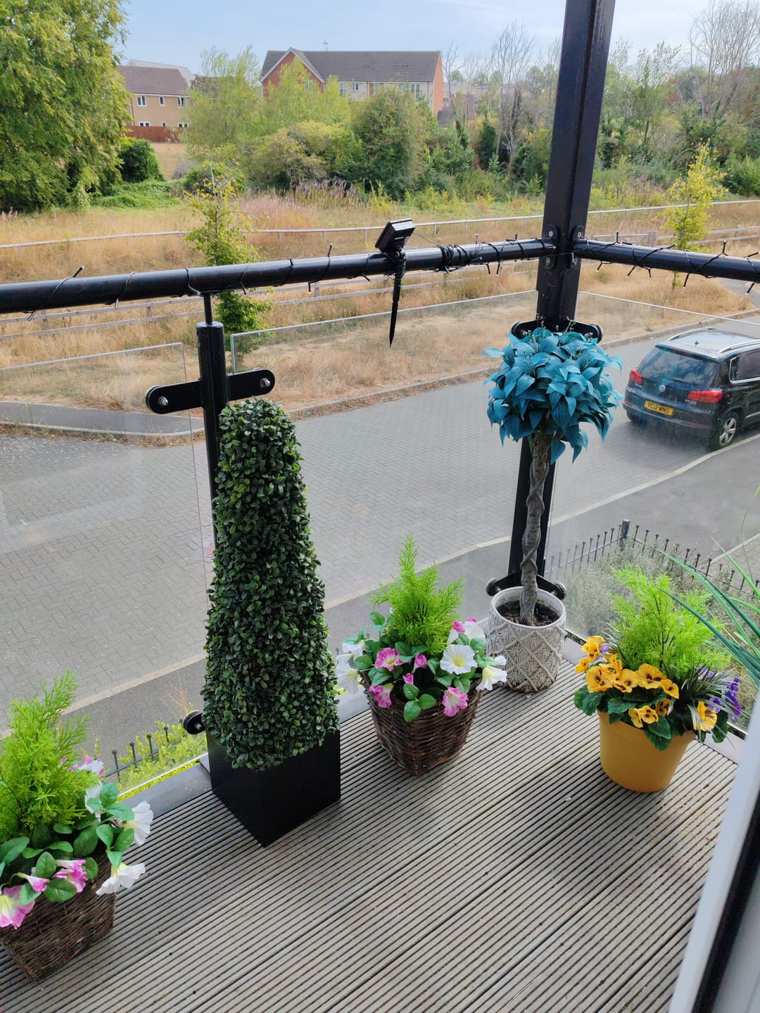 Customer photo review of Premium Quality Boxwood Topiary Pyramid Trees in Black Square Planter 90cm/3ft (Set of 2) - A1030