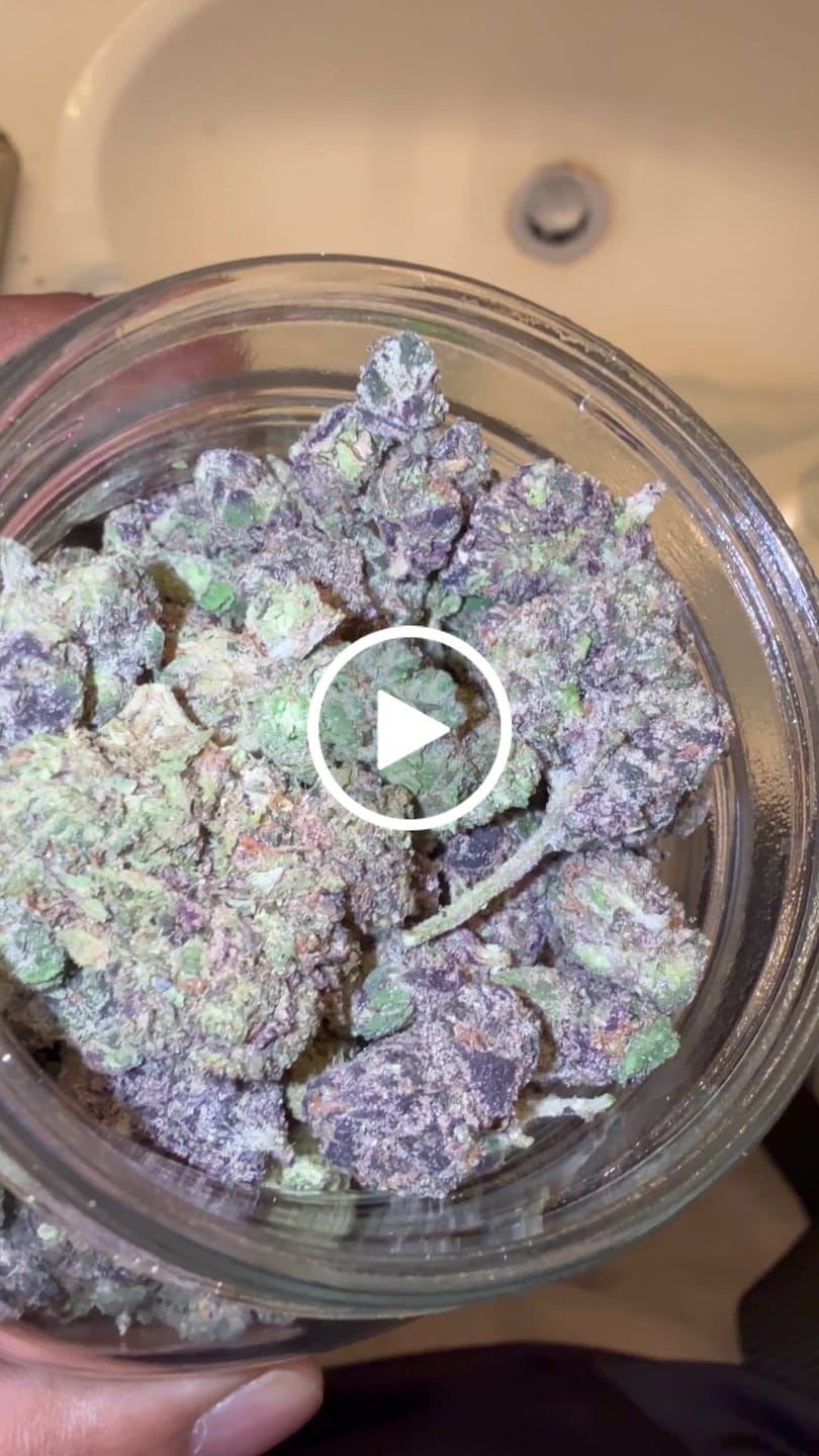 Customer video review of Boutique Exotics Coffin Candy Minis - Bulk Minis - Hybrid