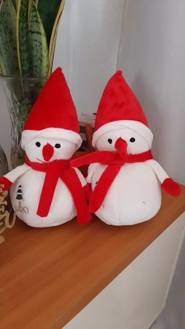 Customer photo review of Boneco de Neve de Pelúcia Decoração de Nata