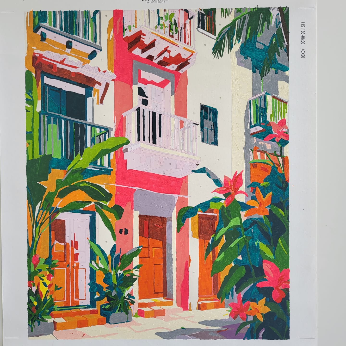 Customer photo review of Tropical Facades | Paint by Number