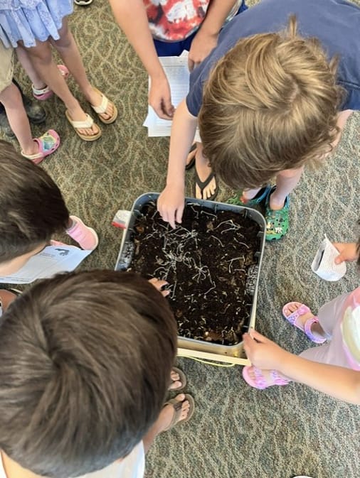 Customer photo review of Red Wigglers Composting Worms
