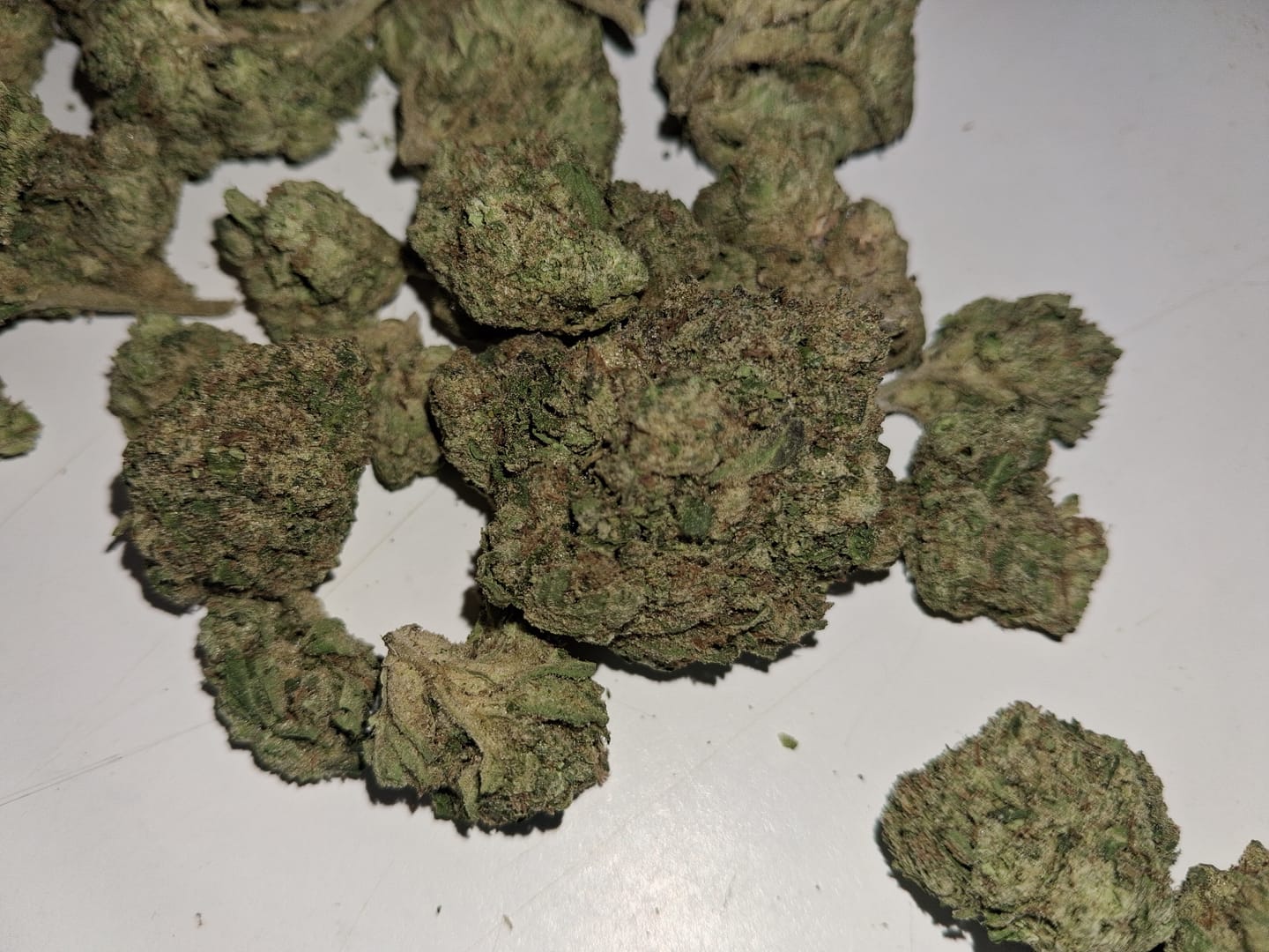 Customer photo review of Speaker Knockers Indoor THCA Mediums