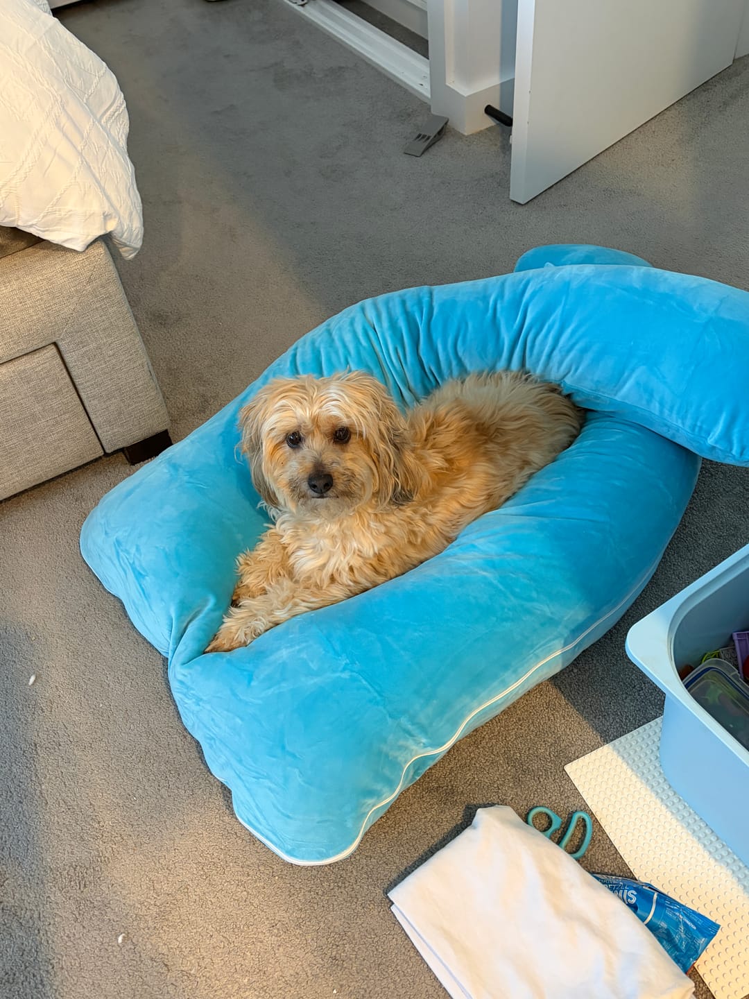 Customer photo review of Kids Pillow Pod