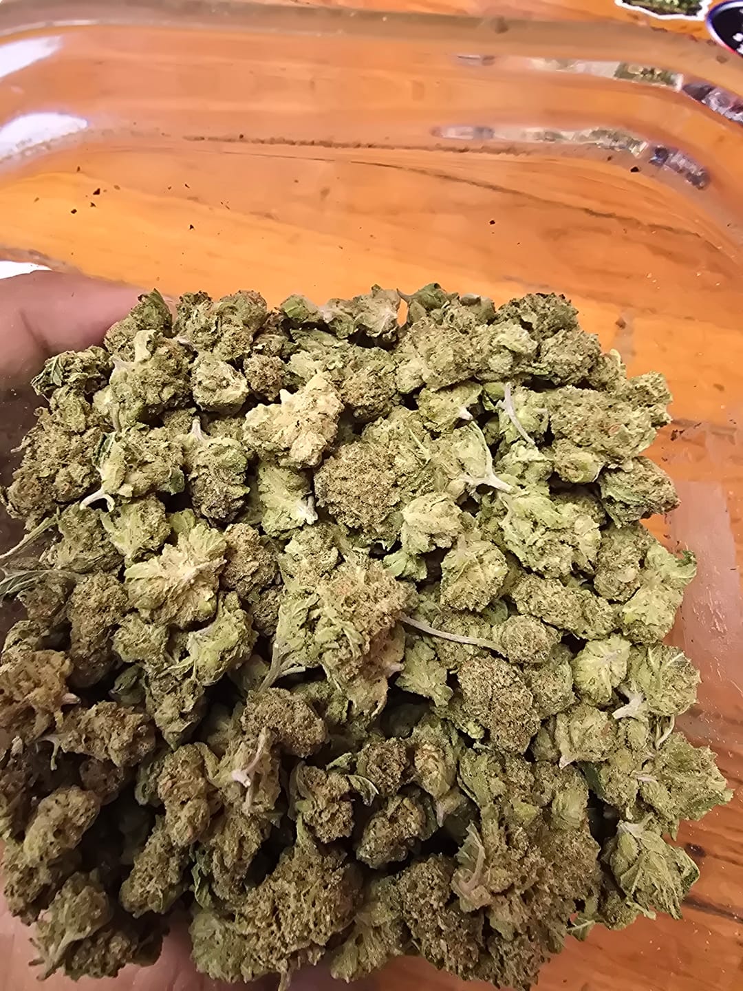 Customer photo review of Bulk THCA Smalls