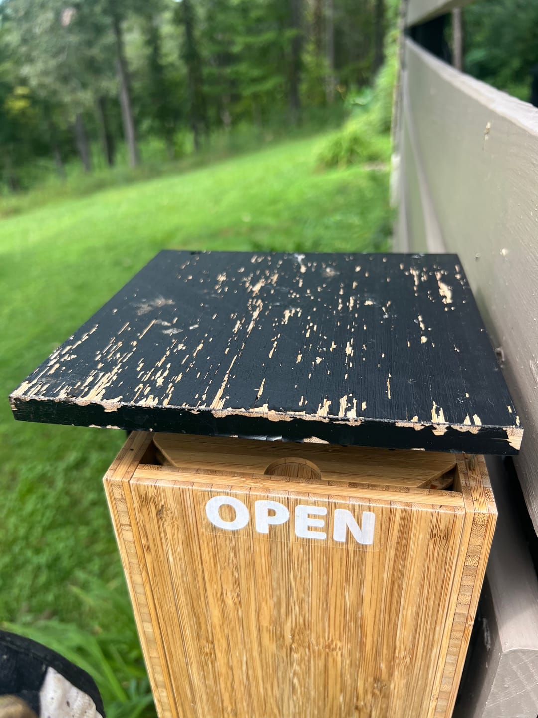 Customer photo review of Birdfy Nest Duo - Smart Bird House with Dual Cameras