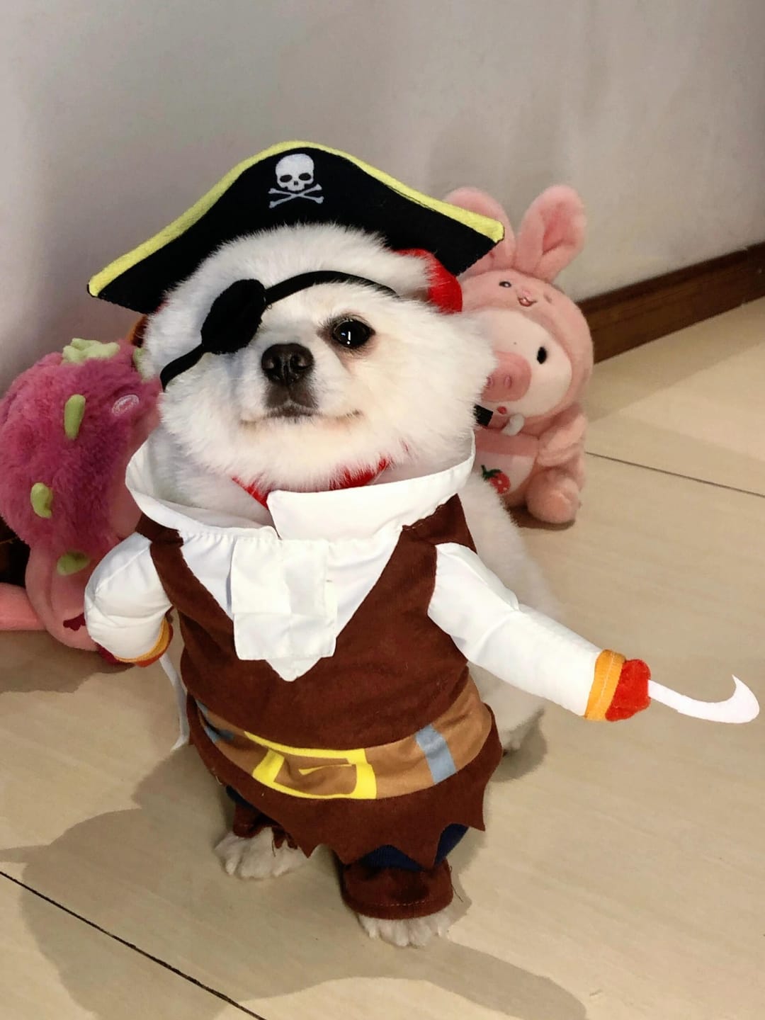 Customer photo review of Costume Pirates of The Caribbean Style