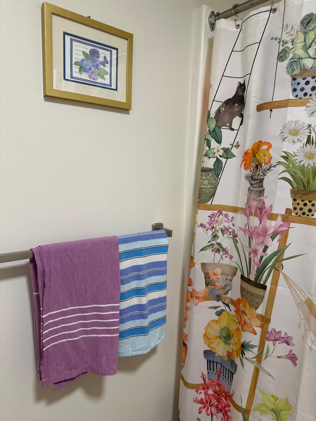 Customer photo review of KARADENIZ - AQUA