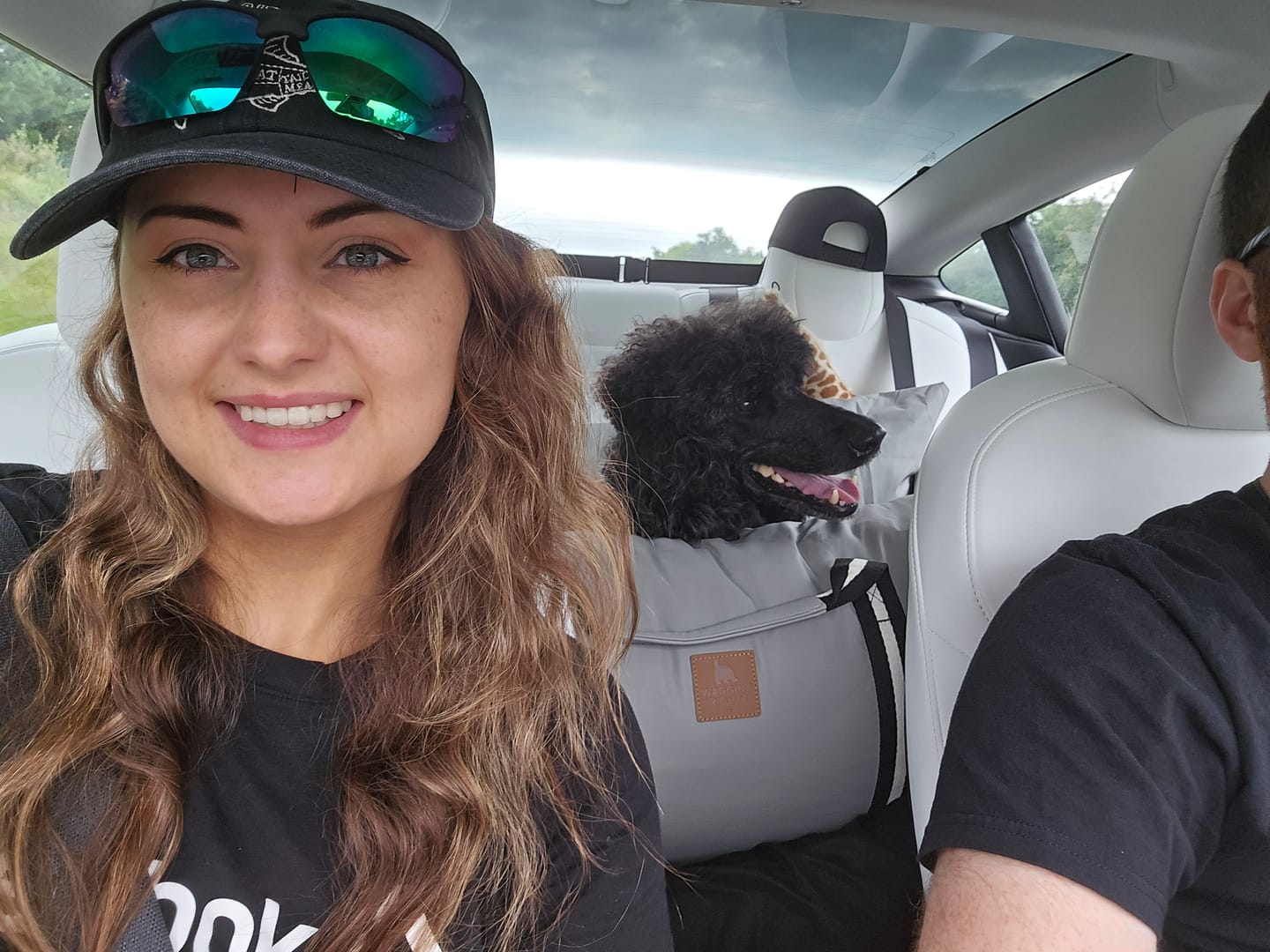 Customer photo review of The Dog Dock V2 New & Improved with LATCH / ISO FIX anchors