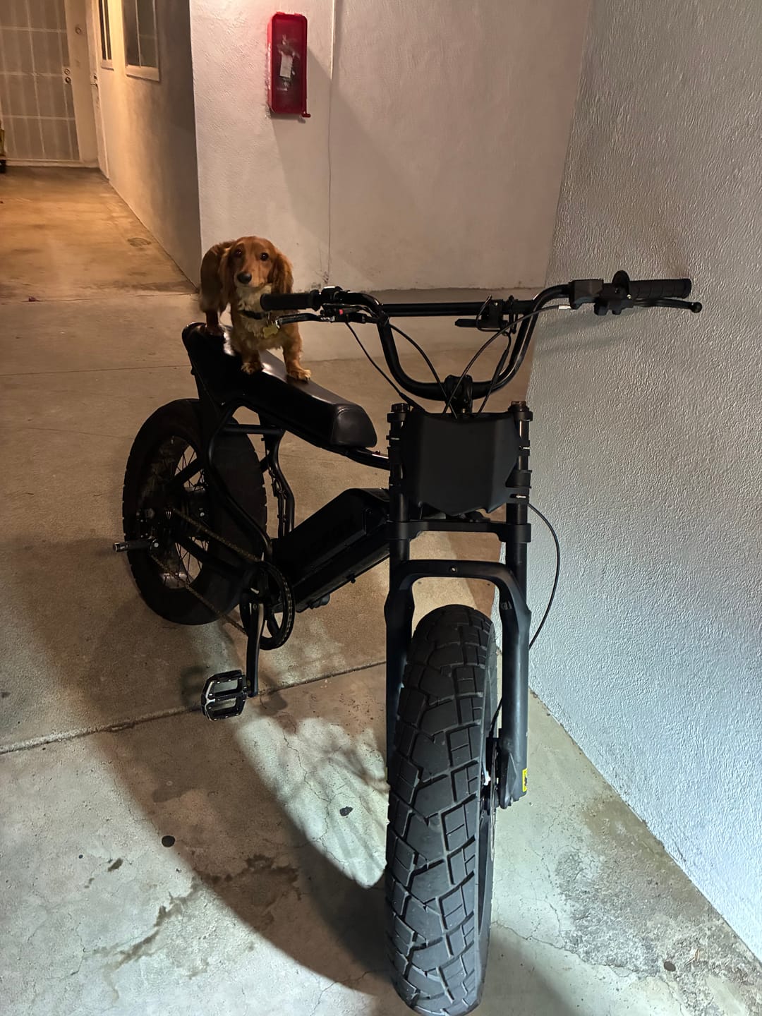 Customer photo review of Macfox X7