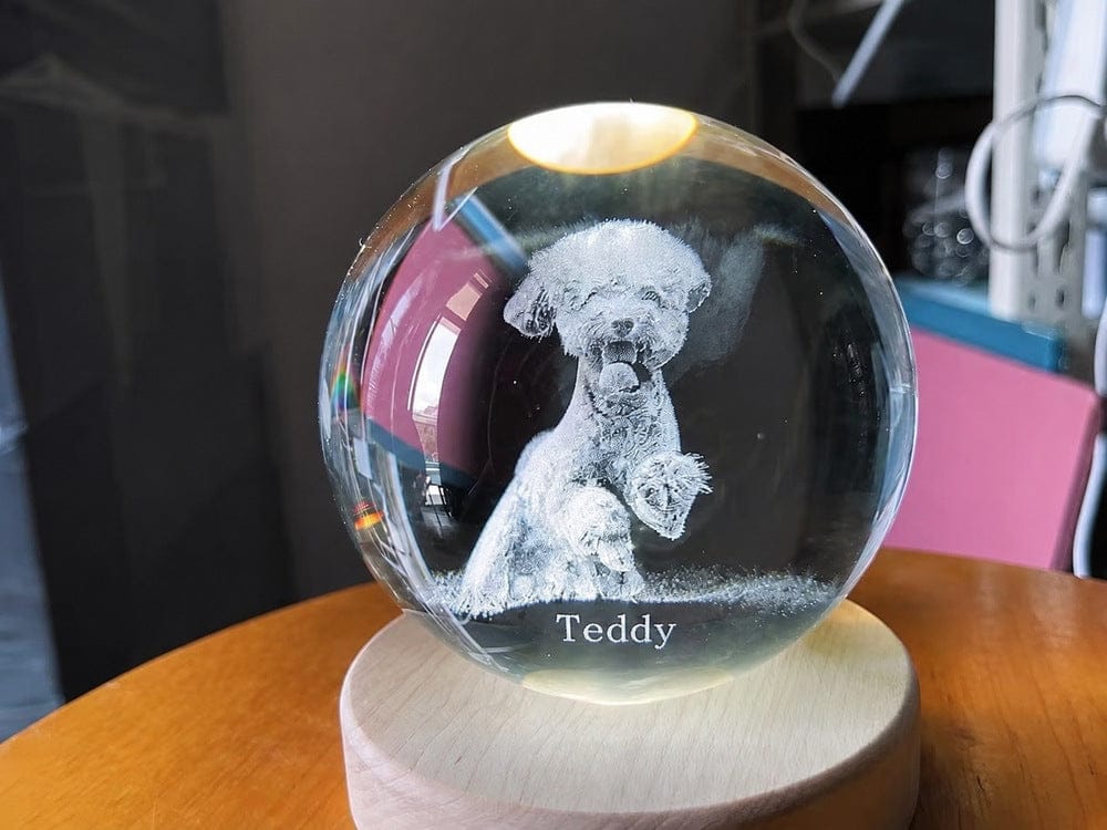 Customer photo review of 3D Pet Portrait Sculpting Crystal Night Light
