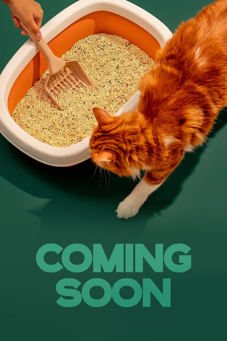 Customer photo review of Tofu Cat Litter