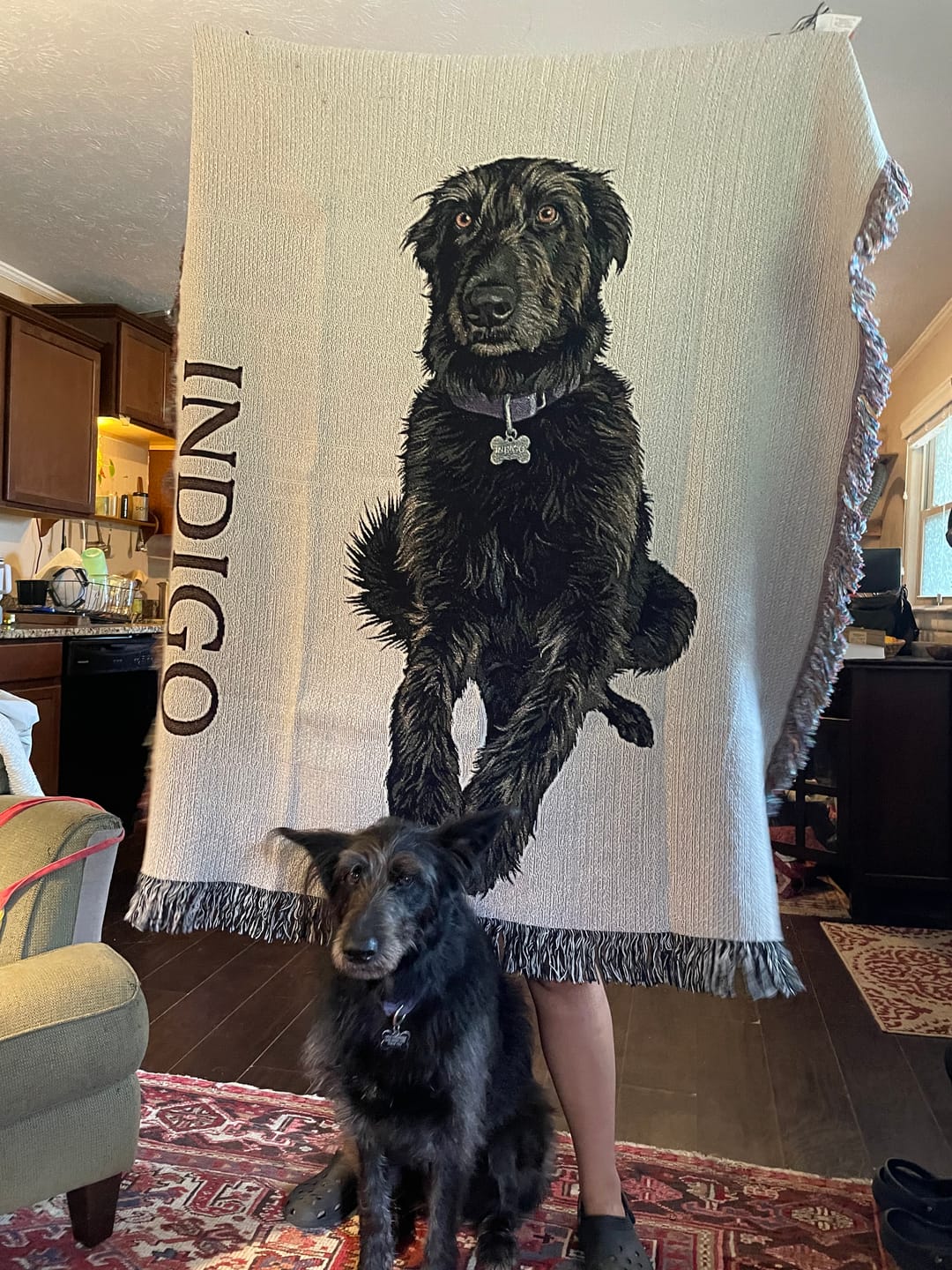 Customer photo review of Custom Heirloom Pet Throw Blanket