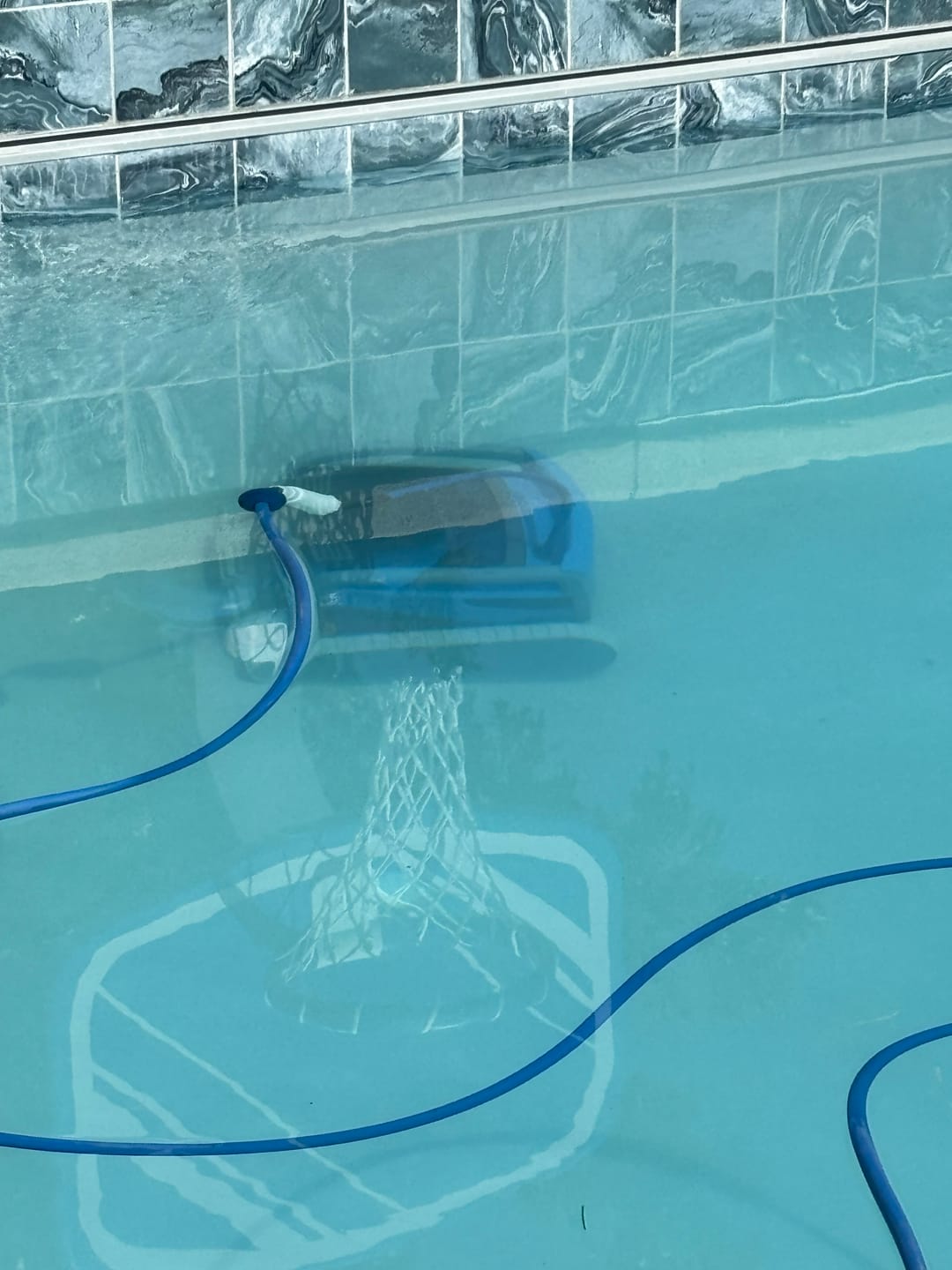 Customer photo review of Dolphin M550 Robotic Pool Cleaner Maytronics