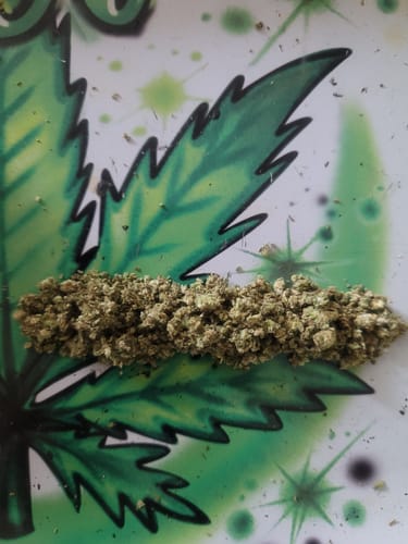 Cherry Abacus™ – Feminized CBD Seeds photo review
