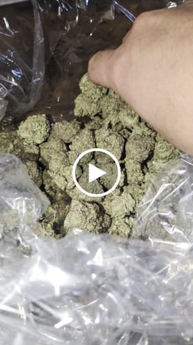 Oreoz - Bulk - Indica photo review