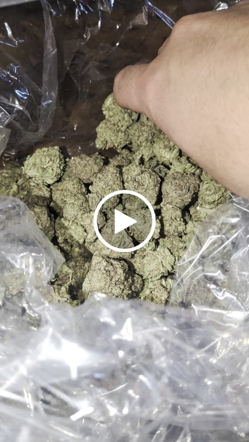 Customer video review of Oreoz - Bulk - Indica