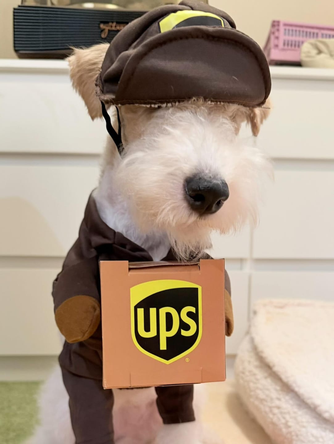 Customer photo review of UPS costume