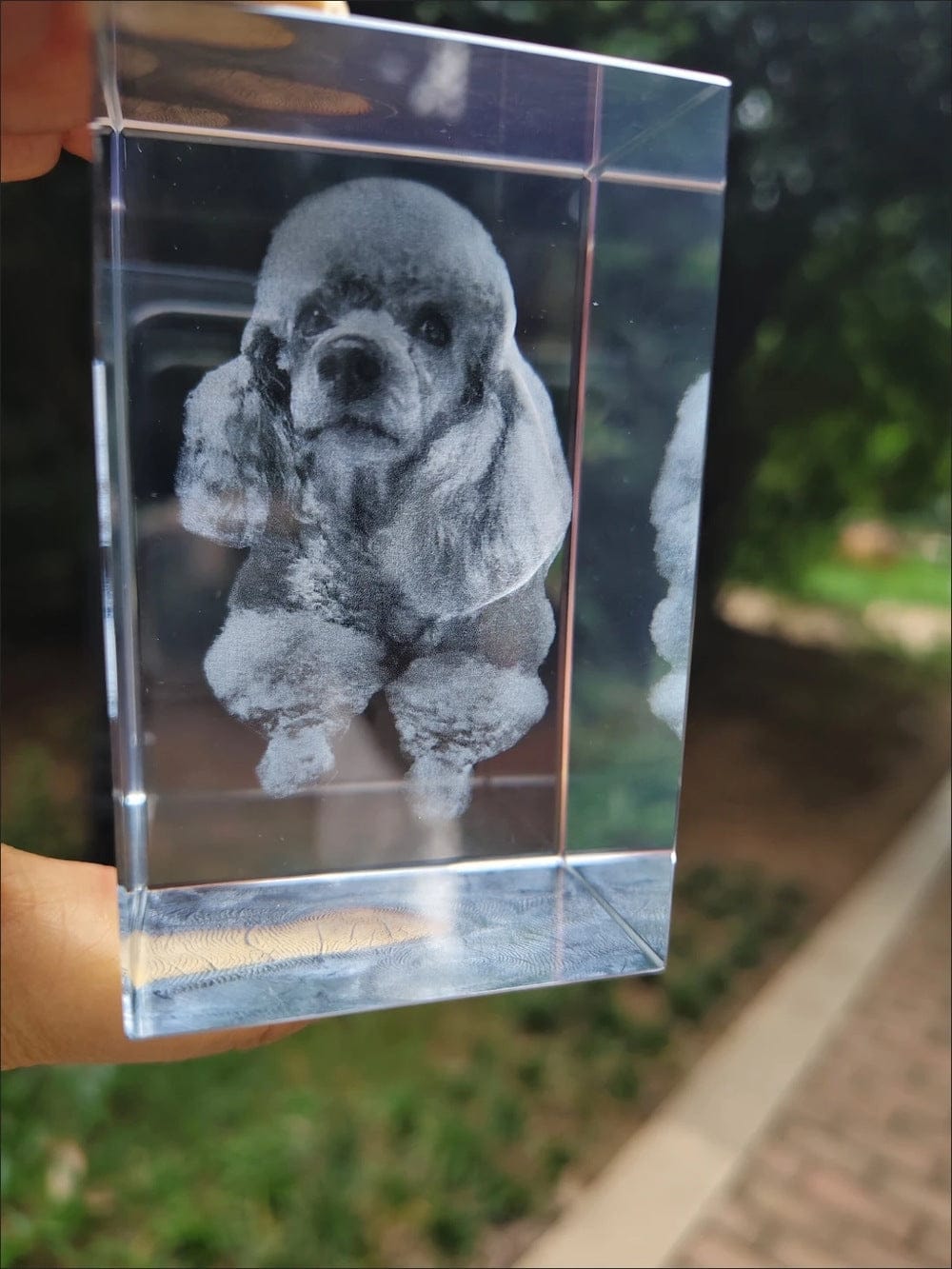 Customer photo review of 3D Pet Portrait Sculpting Crystal Night Light