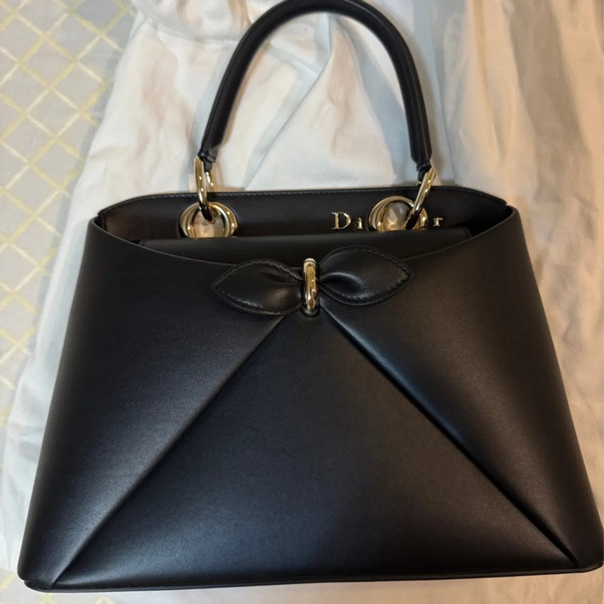 Customer photo review of Dior 2026 Cigale Bag 33.5 Lambskin