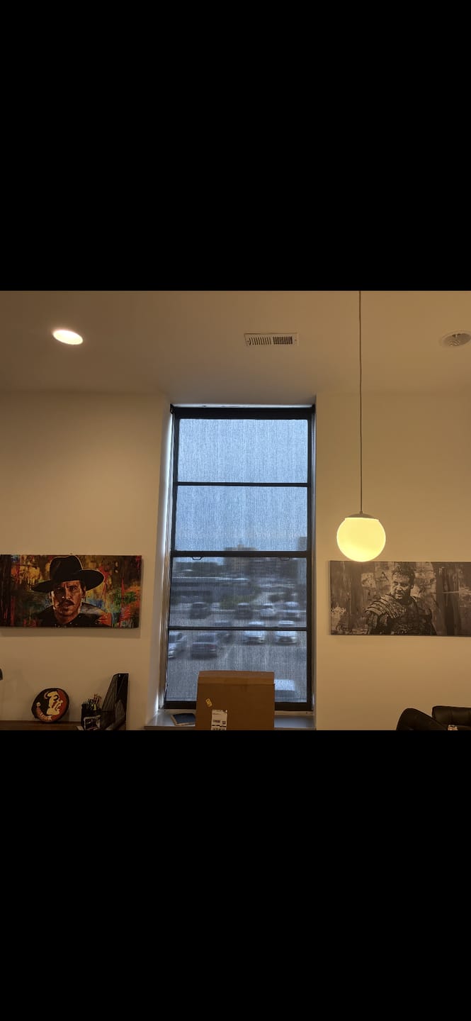 Customer photo review of Maximus Grayscale Wall Art