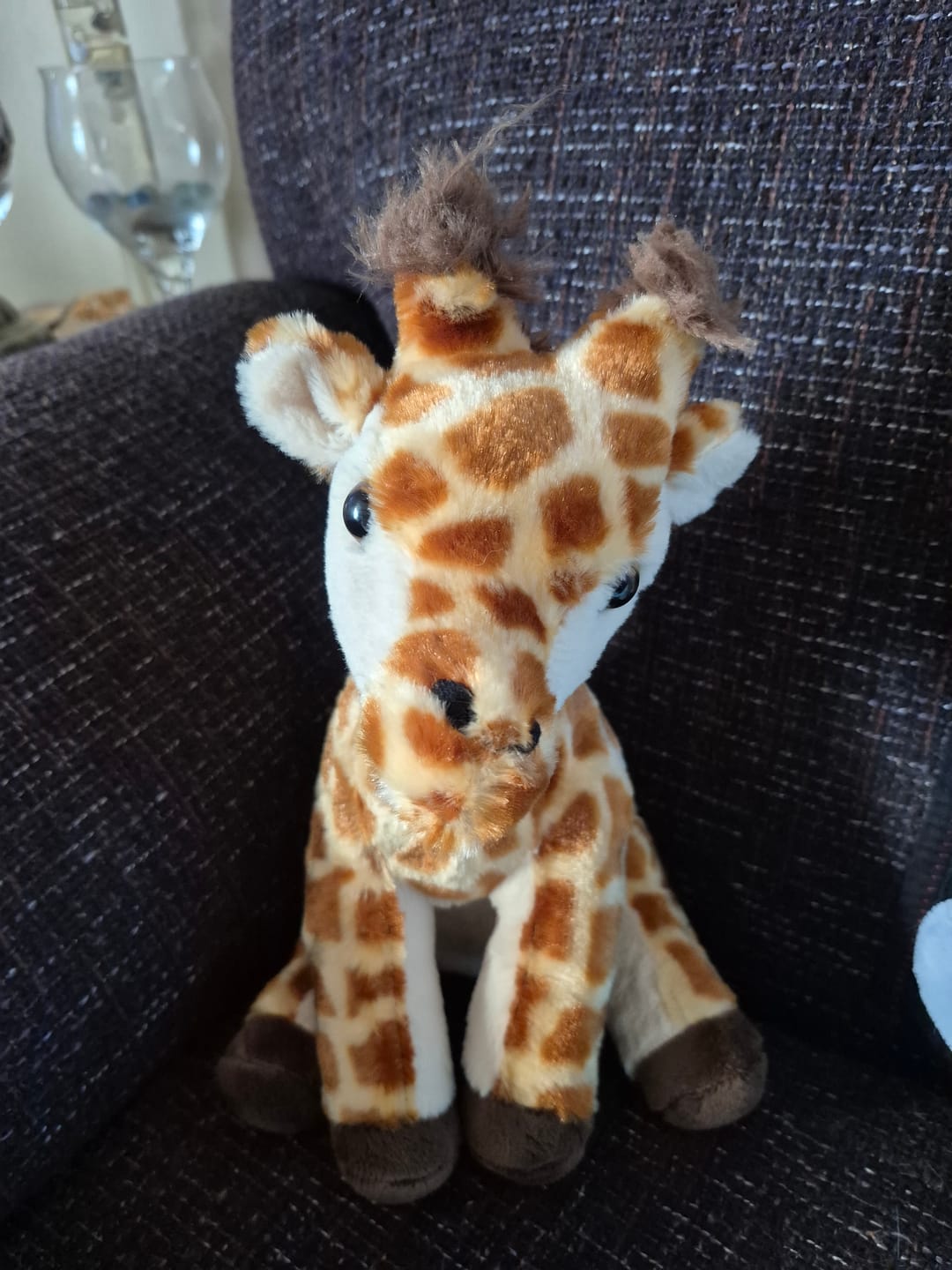 Customer photo review of The Trek Plush