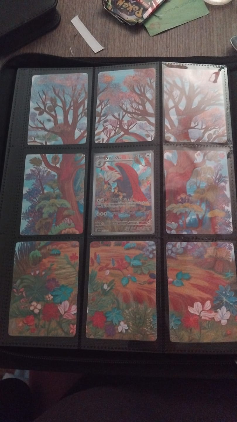 Customer photo review of Lunar Shadow Shiny 9-Pocket Trading Card Binder
