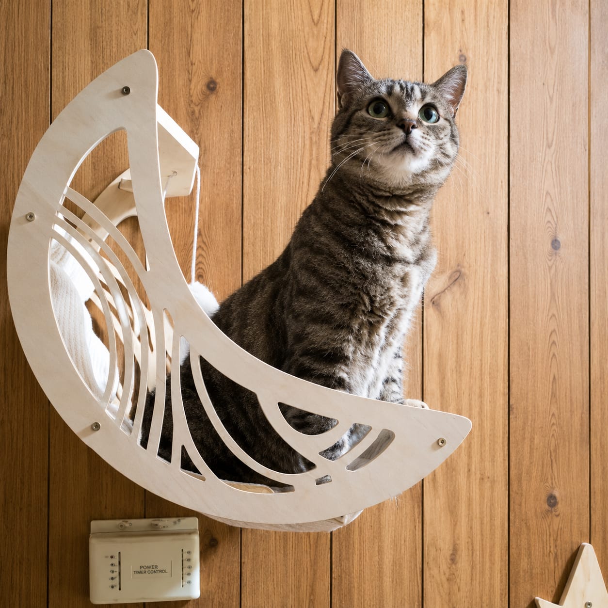 Customer photo review of Cuccia Sospesa per Gatti