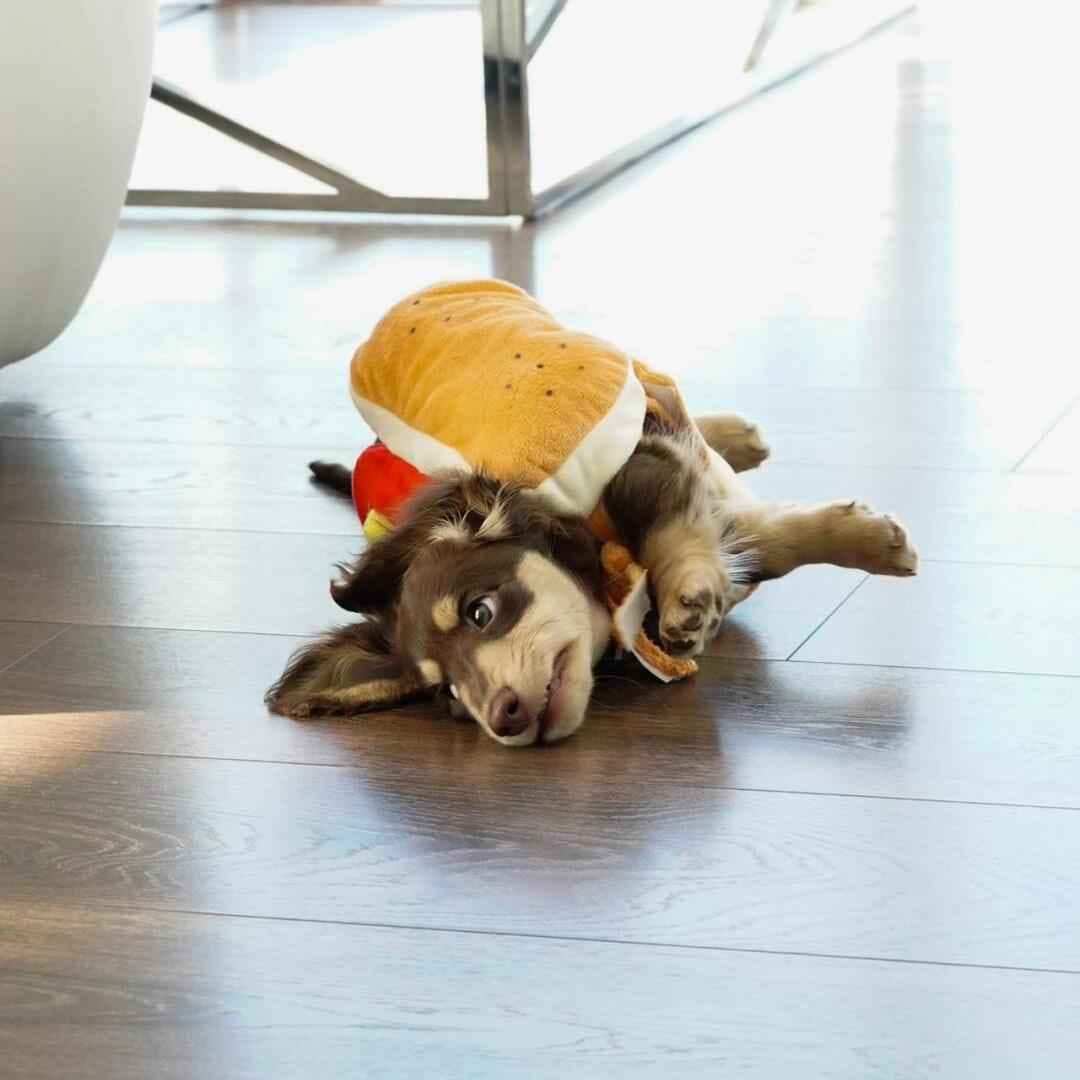 Customer photo review of Sausage Adjustable Costume Suit