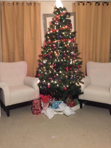 Customer photo review of Allston High Back Upholstered Accent Armchair