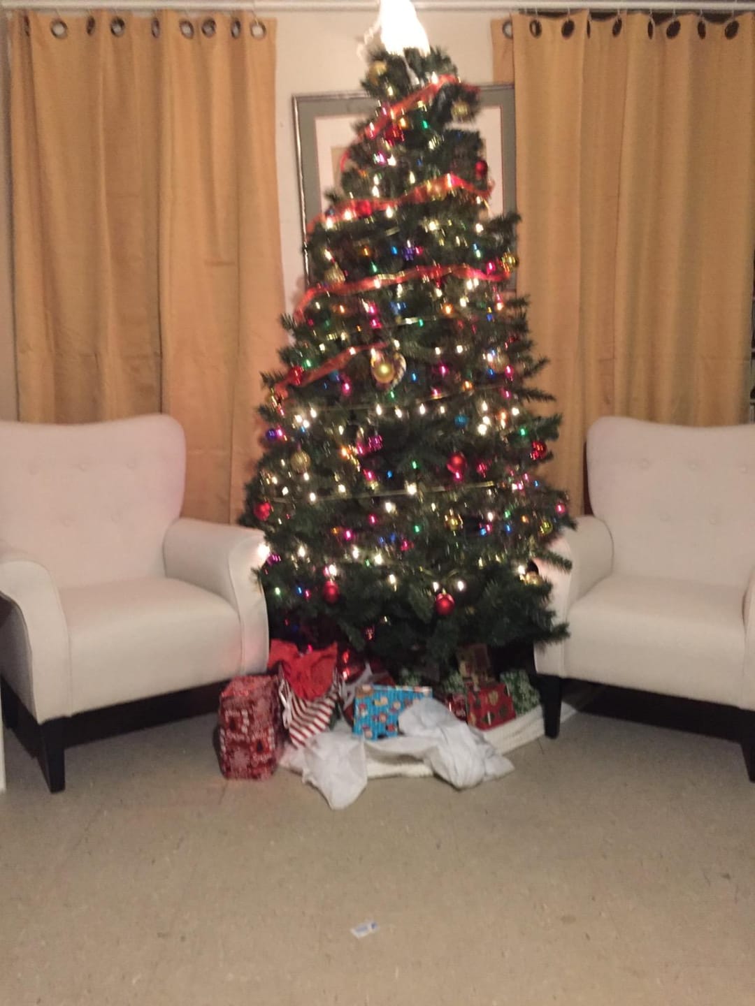 Customer photo review of Allston High Back Upholstered Accent Armchair