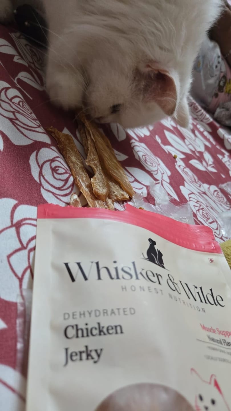 Customer photo review of Dehydrated Chicken Jerky – Original (Cat)