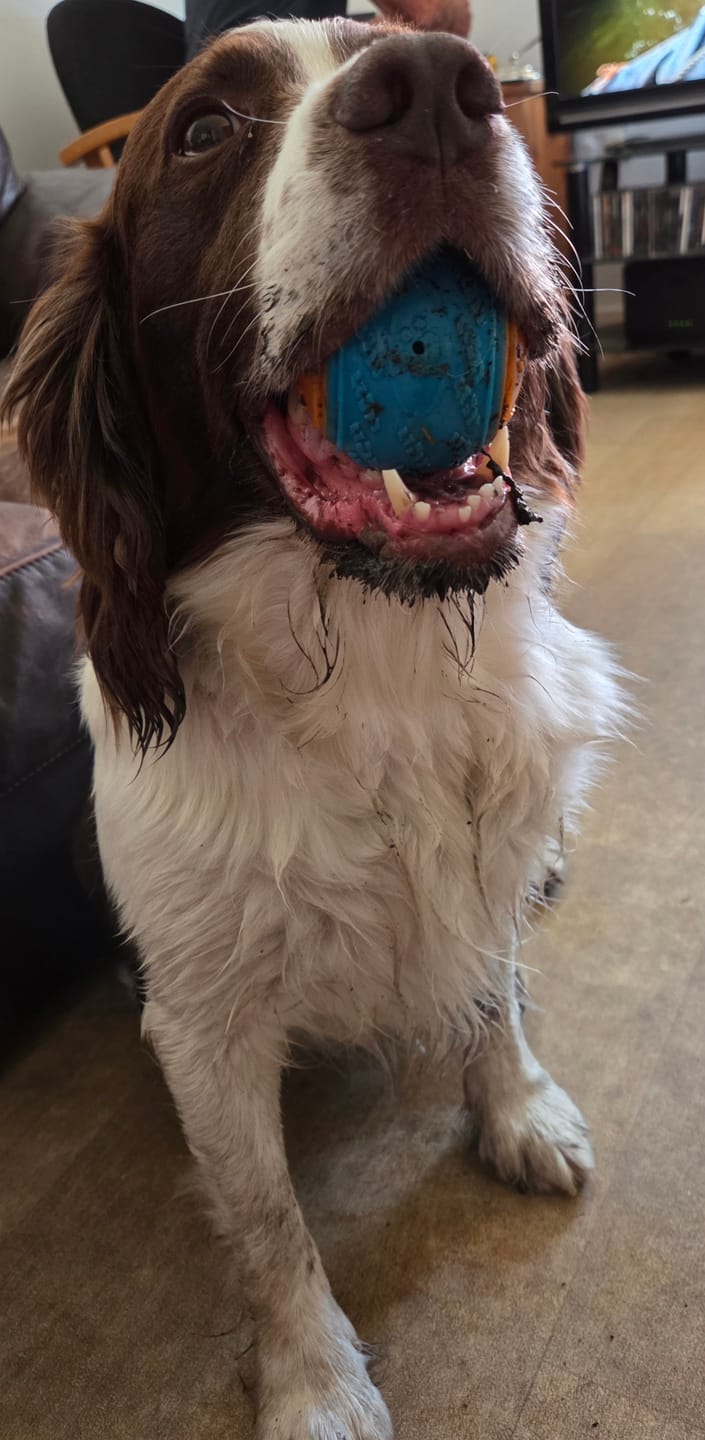 Customer photo review of Graffiti - Personalised Phone Case