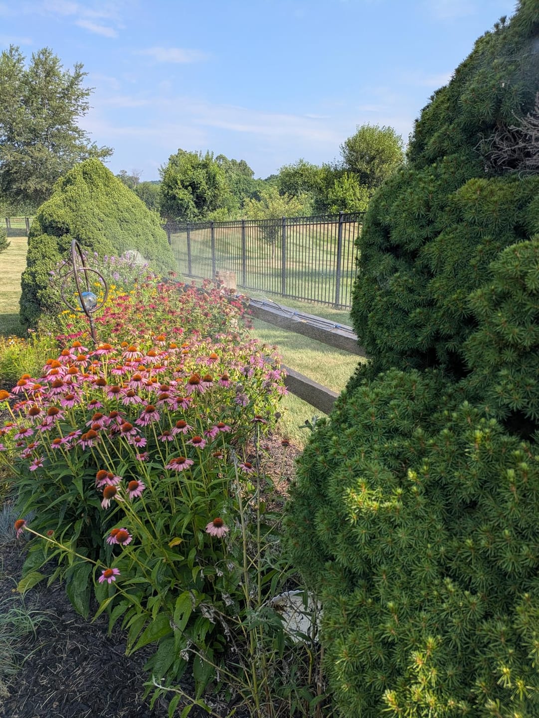 Customer photo review of HydraMist - 360 Flexible Garden Irrigation Kit
