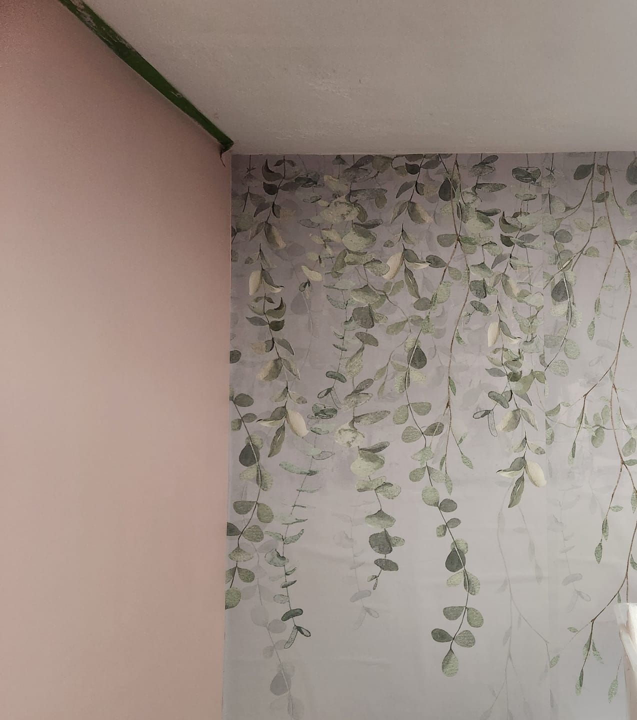 Customer photo review of Joanna - Olive Branches on Texture Wallpaper