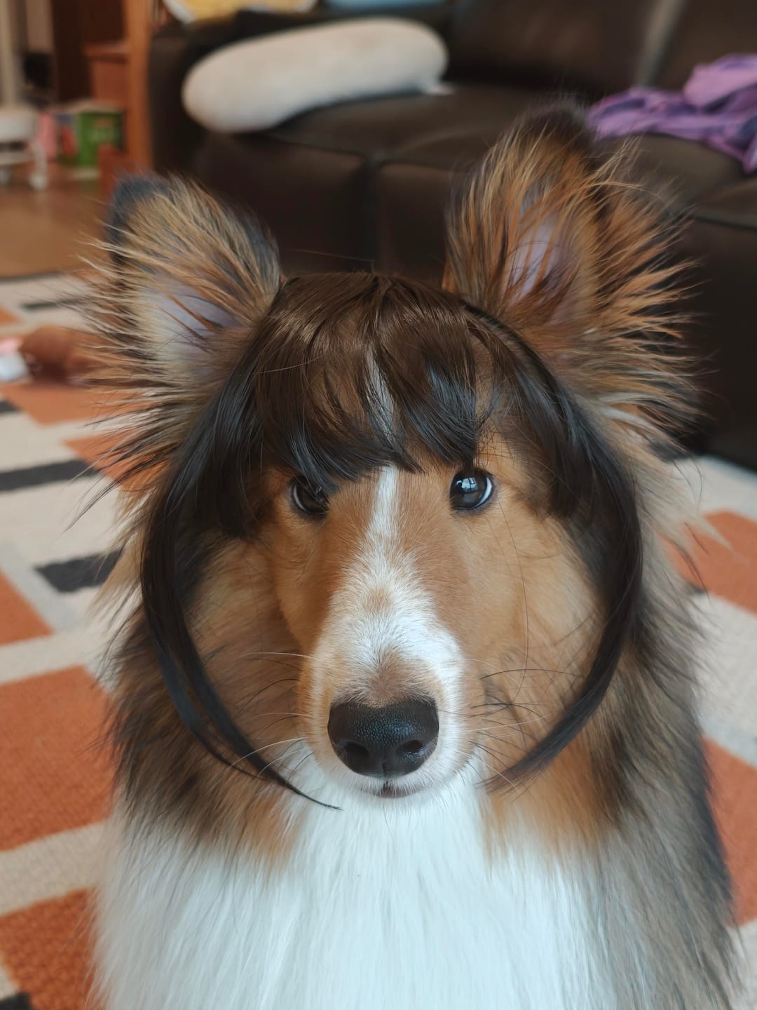 Customer photo review of Funny Pet Wig Costume Collection