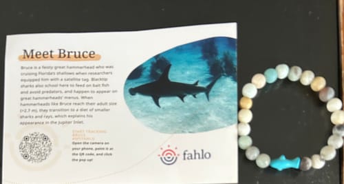 Customer's Voyage Bracelet next to the included information card about Bruce the hammerhead shark
