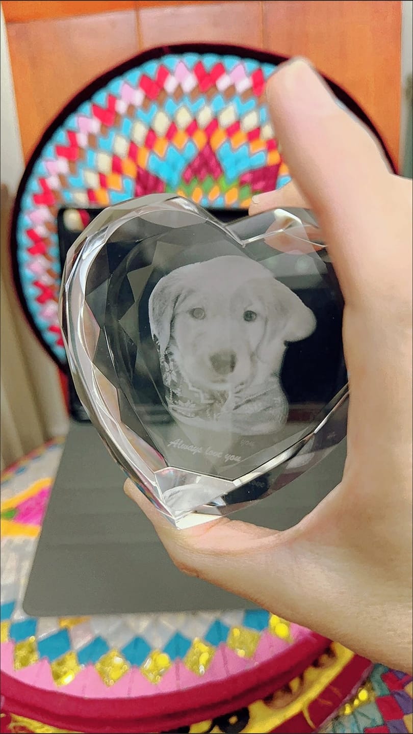 Customer photo review of 3D Pet Portrait Sculpting Crystal Night Light