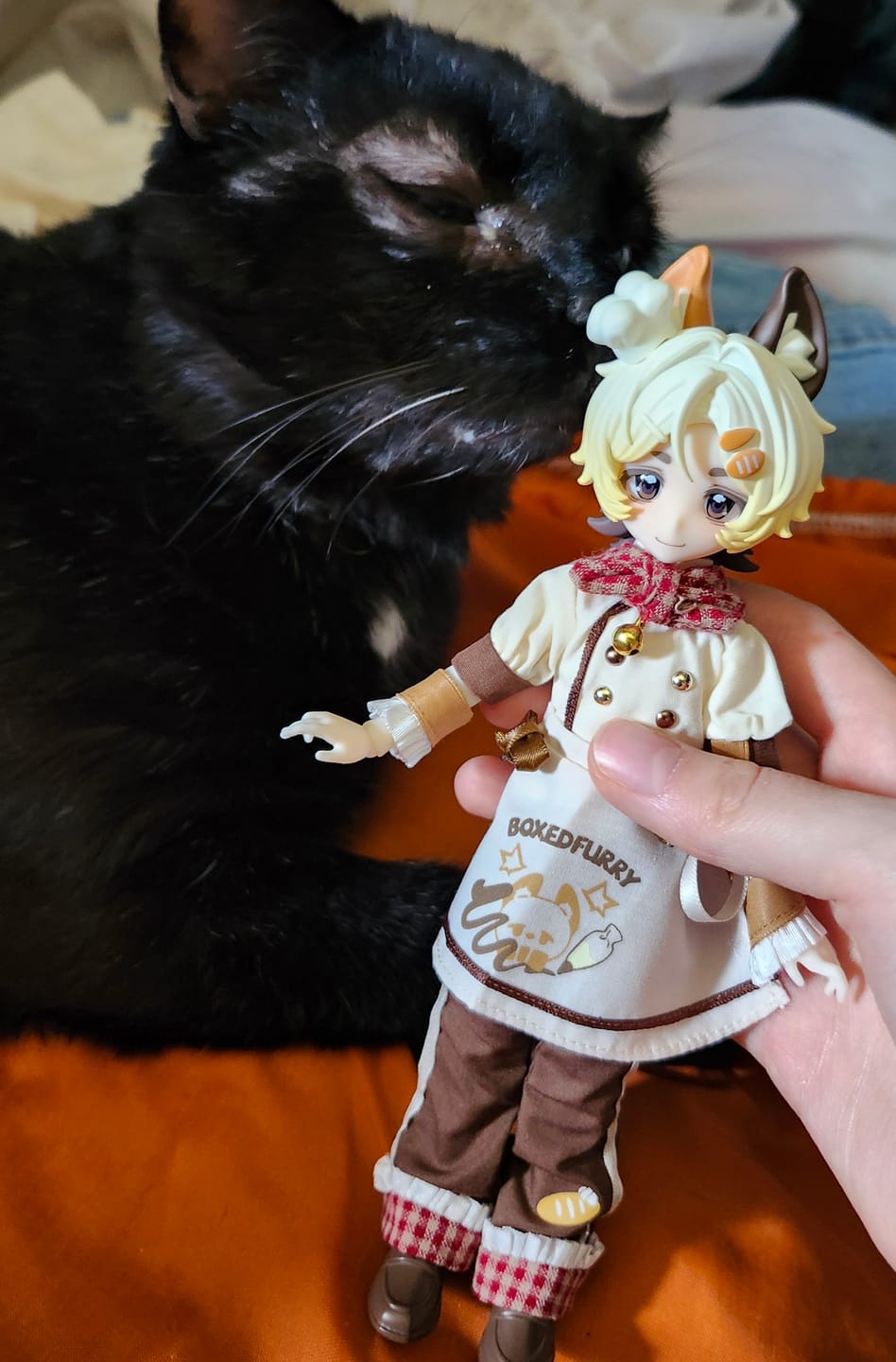 Customer photo review of Boxed Furry Series 1/8 Action Figure BJD Blind Box【Shipped in Sept. /Oct. 2026】