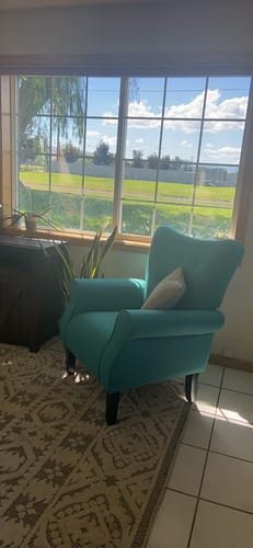 Customer photo review of Allston High Back Upholstered Accent Armchair